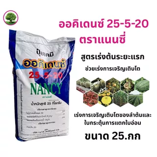 ปุ๋ยเกล็ดออคิเดนซ์ระบบน้ำ สูตร 25-5-20 B (ด้ายเขียว) สูตรเร่งต้นระยะแรก ตราแนนซี่ ขนาดกระสอบ 25 กิโลกรัม