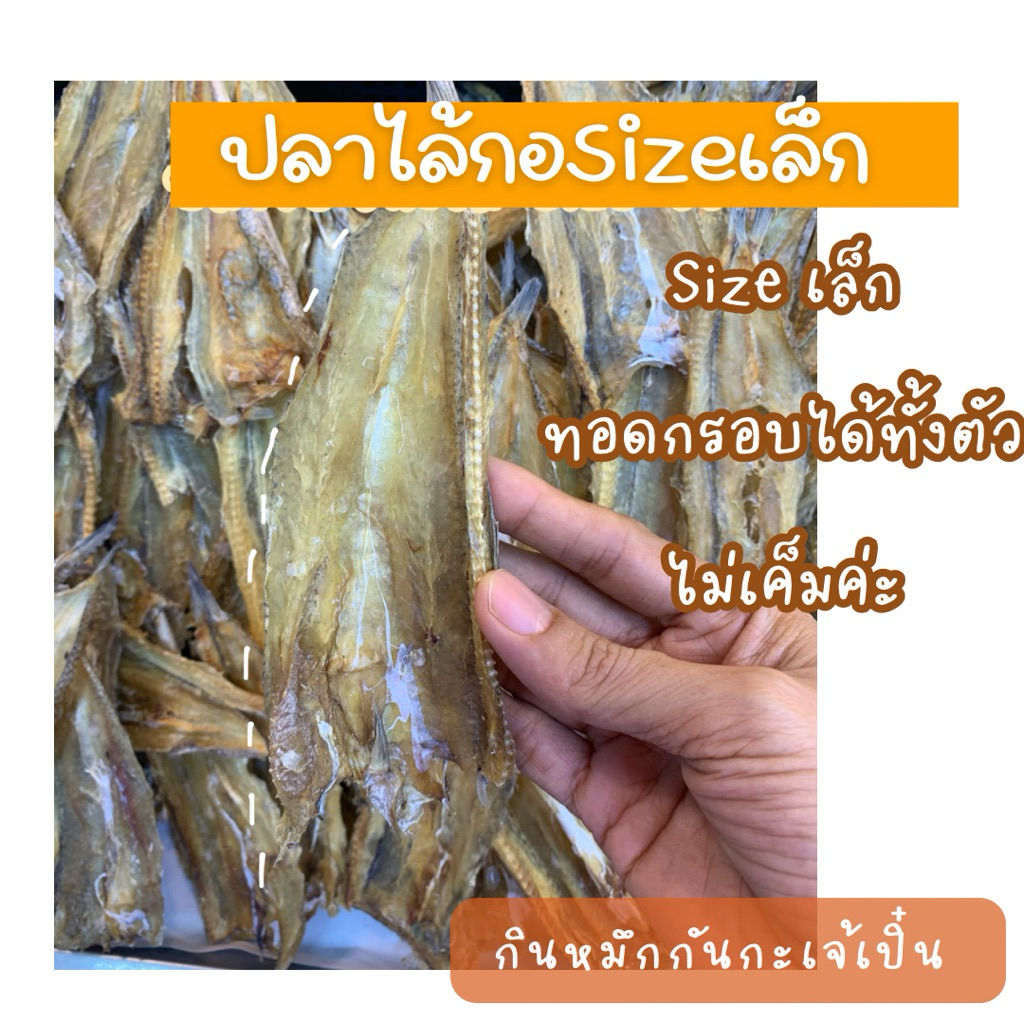 ปลาช่อนทะเลจิ๋ว (เล็ก) หรือเรียกอีกชื่อว่า ปลาไล้กอ ค่ะ อร่อย ไม่เค็ม จากบ้านเพ ระยอง