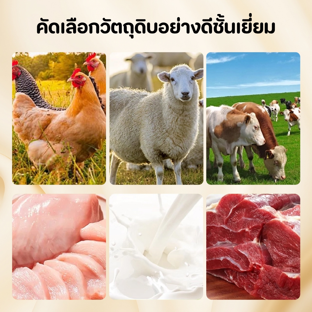 TUBIขนมสุนัขสูตรฟังก์ชัน 4 รส! นมแพะ+โปรไบโอติก ลำไส้สุขภาพดี | ไก่+กึ๋นไก่ ย่อยง่ายประสิทธิภาพสูง | เนื้อวัว+โสม ฟื้นฟู - รูปที่ 3