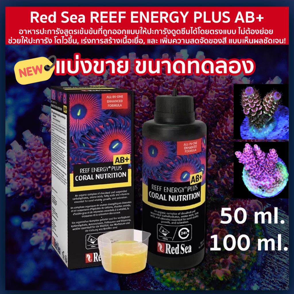 Red sea AB+ อาหารปะการังตัวท็อป! สีแน่น–โตไว–ฟูเต็มตู้ ใครเลี้ยงปะการังต้องมี!