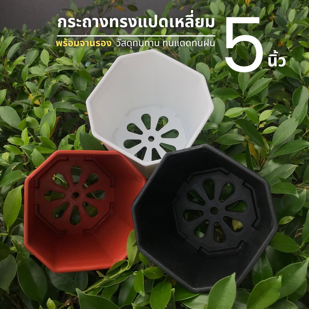 A015 กระถางต้นไม้ + จานรอง ขนาด 5 นิ้ว ทรง 8 เหลี่ยม แพ็ก 10 ใบ