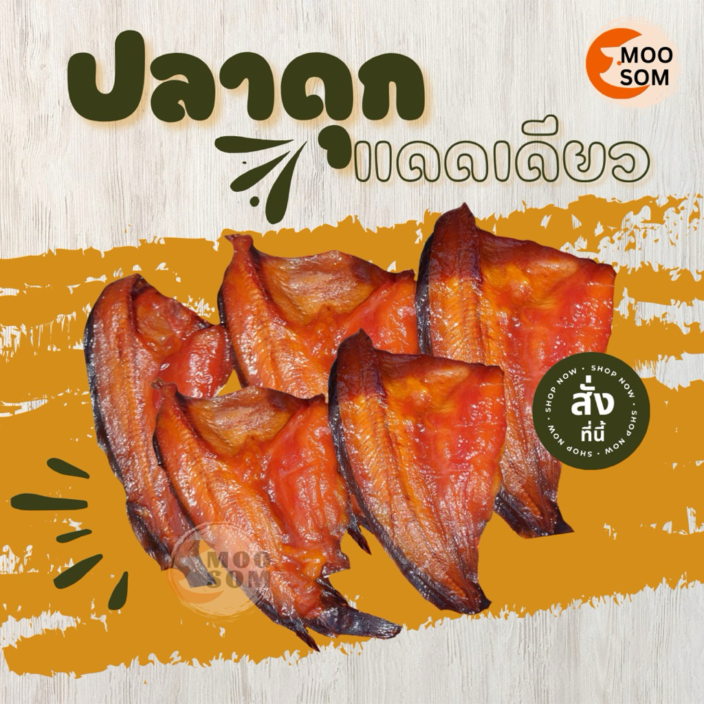 ปลาดุกแดดเดียว ปลาดุก ปลาแดดเดียว ไซต์มินิ