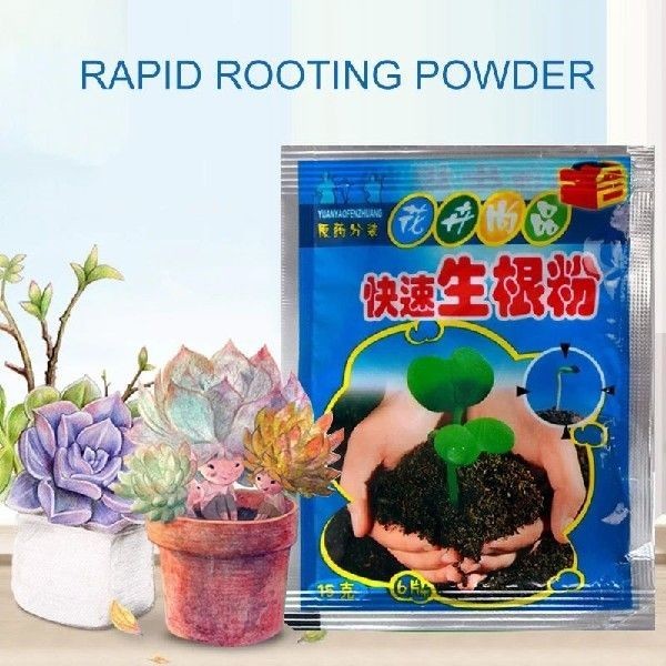 ผงเร่งรากแบบเร็ว หนึ่งถุง RAPID ROOTING POWDER High-Performing Root Growth Powder for Cuttings Organic Root