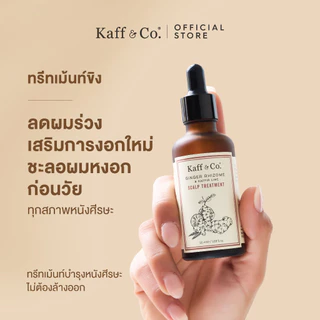Kaff & Co. Set 3 ชิ้น สำหรับผมมัน ลีบ ขาดหลุดร่วง เส้นผมแห้ง แชมพูขิง & ครีมนวดผม & ทรีทเม้นท์ขิง