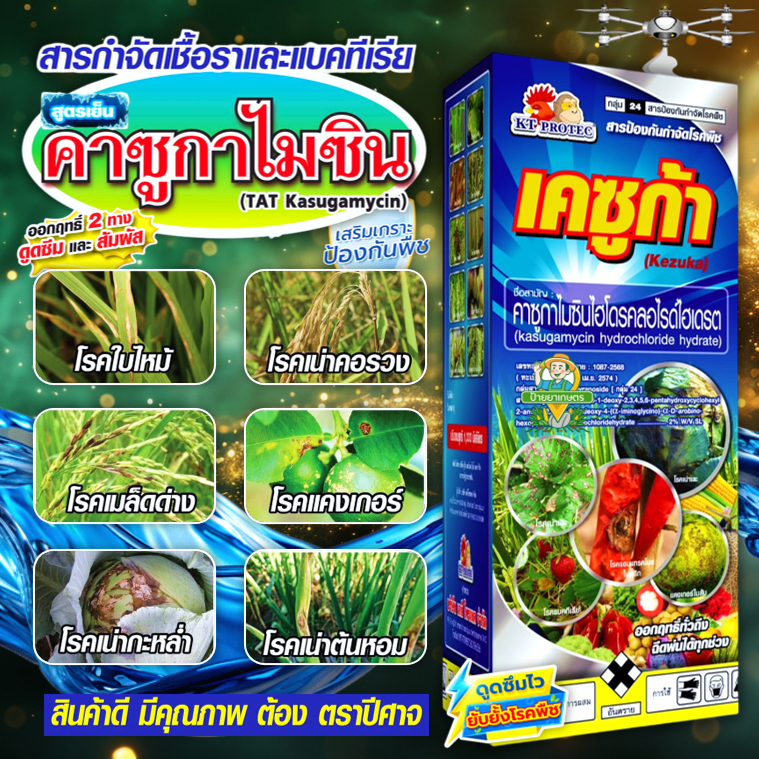 เคซูก้า คาซูกาไมซิน 2% SL 1 ลิตร กำจัดแบคทีเรีย เชื้อราไวรัส โรค ใบไหม้ กาบใบแห้ง โรคใบจุด เมล็ดด่าง