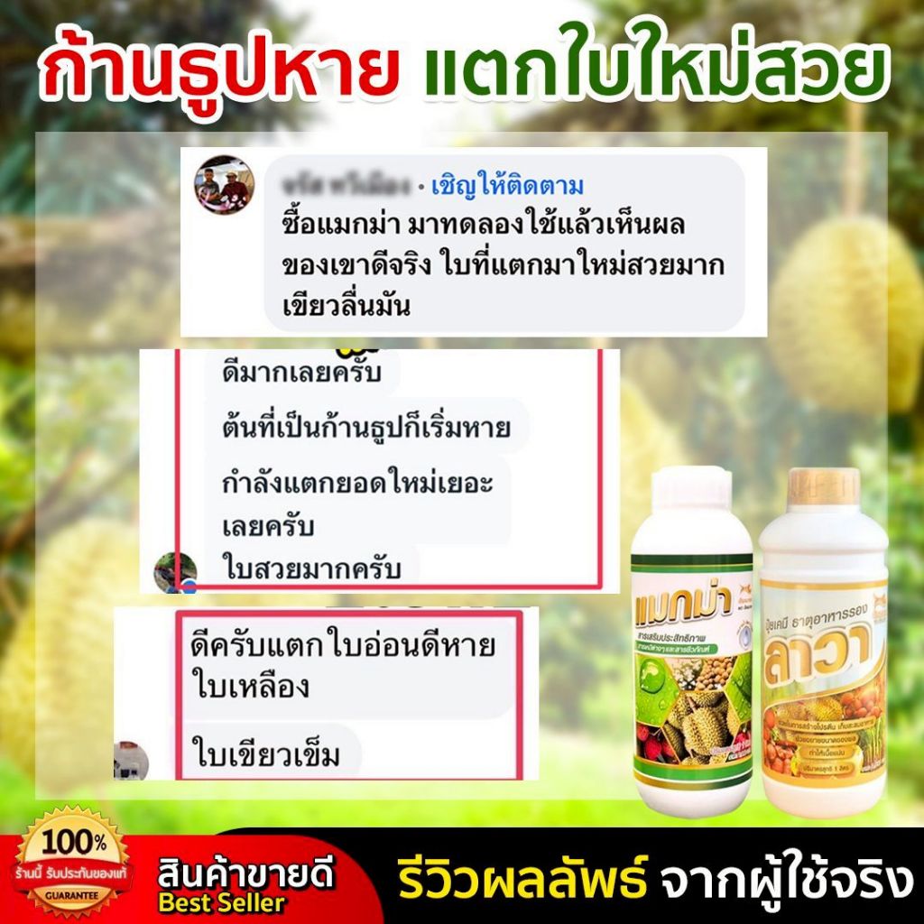 ปุ๋ยน้ำลาวา 1 ขวด ปริมาณขวดละ 1 ลิตร - รูปที่ 4