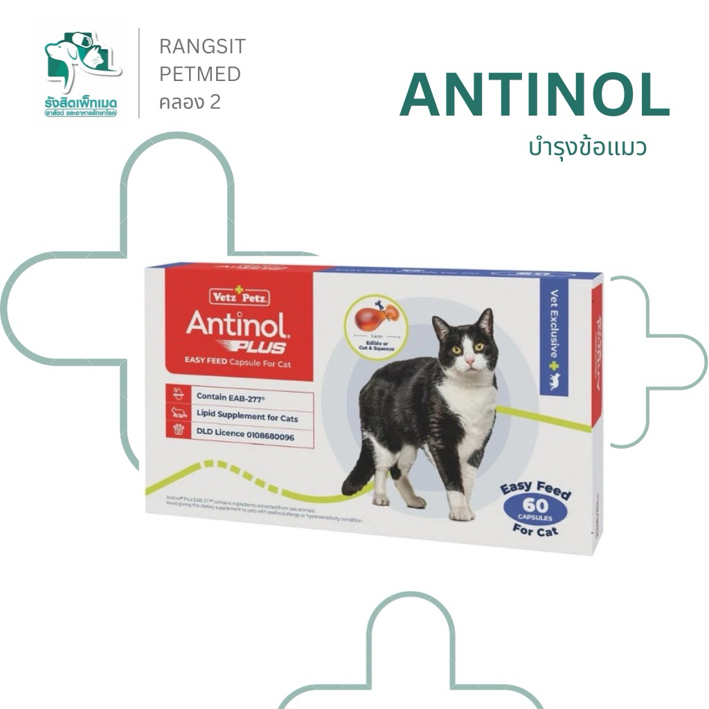 Antinol Cat แอนทินอล อาหารเสริมไขมัน บำรุงข้อ สำหรับแมว 1กล่อง (60เม็ด)