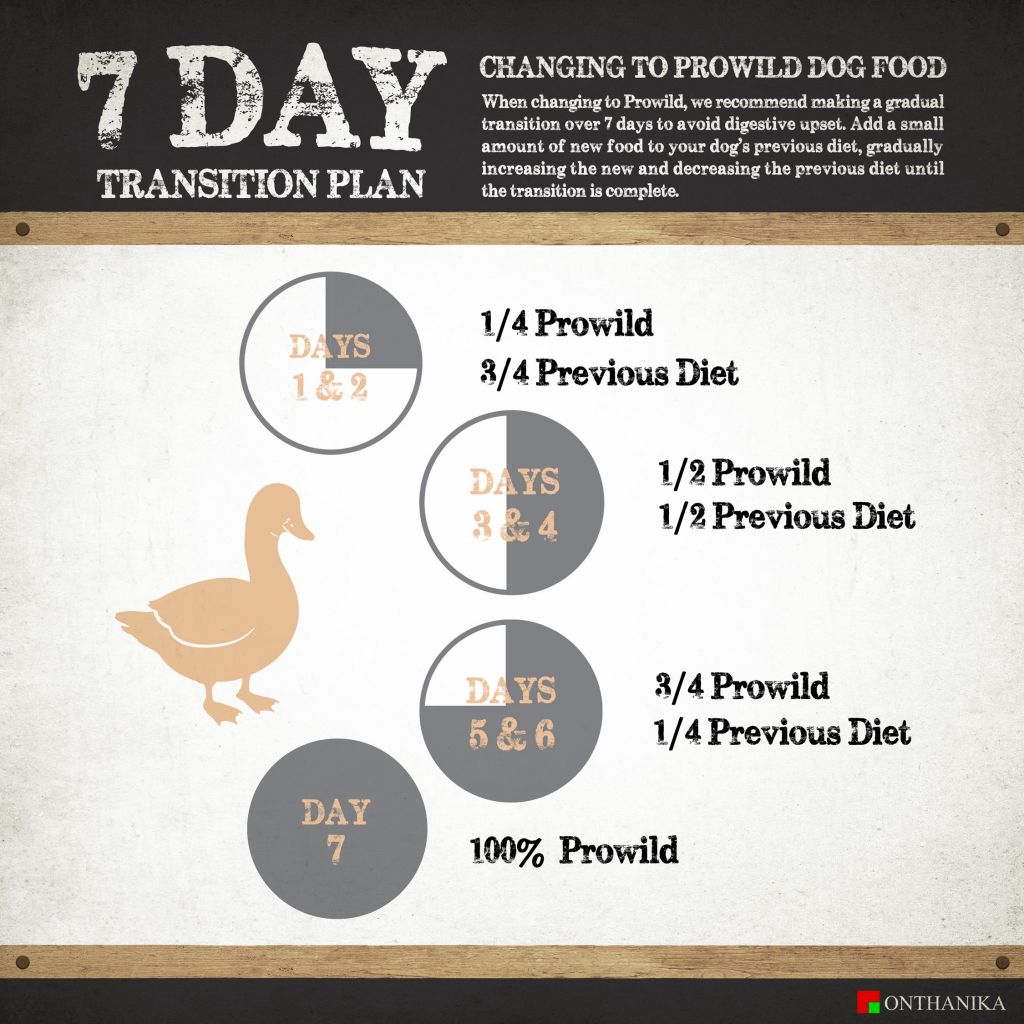 Prowild โปรไวลด์ ออริจิน เว็ทแลนด์ สูตรเนื้อเป็ด อาหารสุนัขโตและสุนัขสูงวัย/ทุกสายพันธุ์ 15 kg - รูปที่ 4