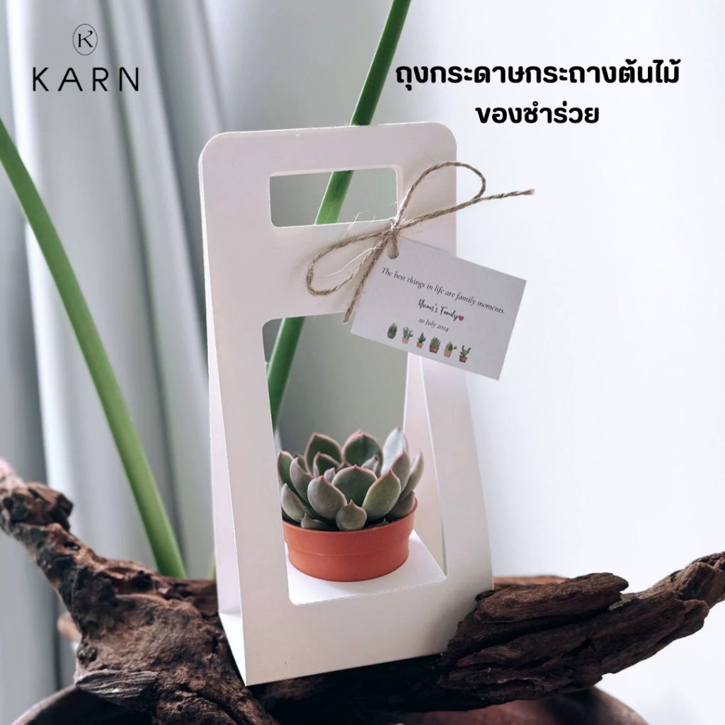(พร้อมส่ง) ถุงกระดาษใส่กระถางต้นไม้ พร้อมหูหิ้ว ถุงของชำร่วย ถุงใส่แจกัน ขวดแก้ว กระถางต้นไม้