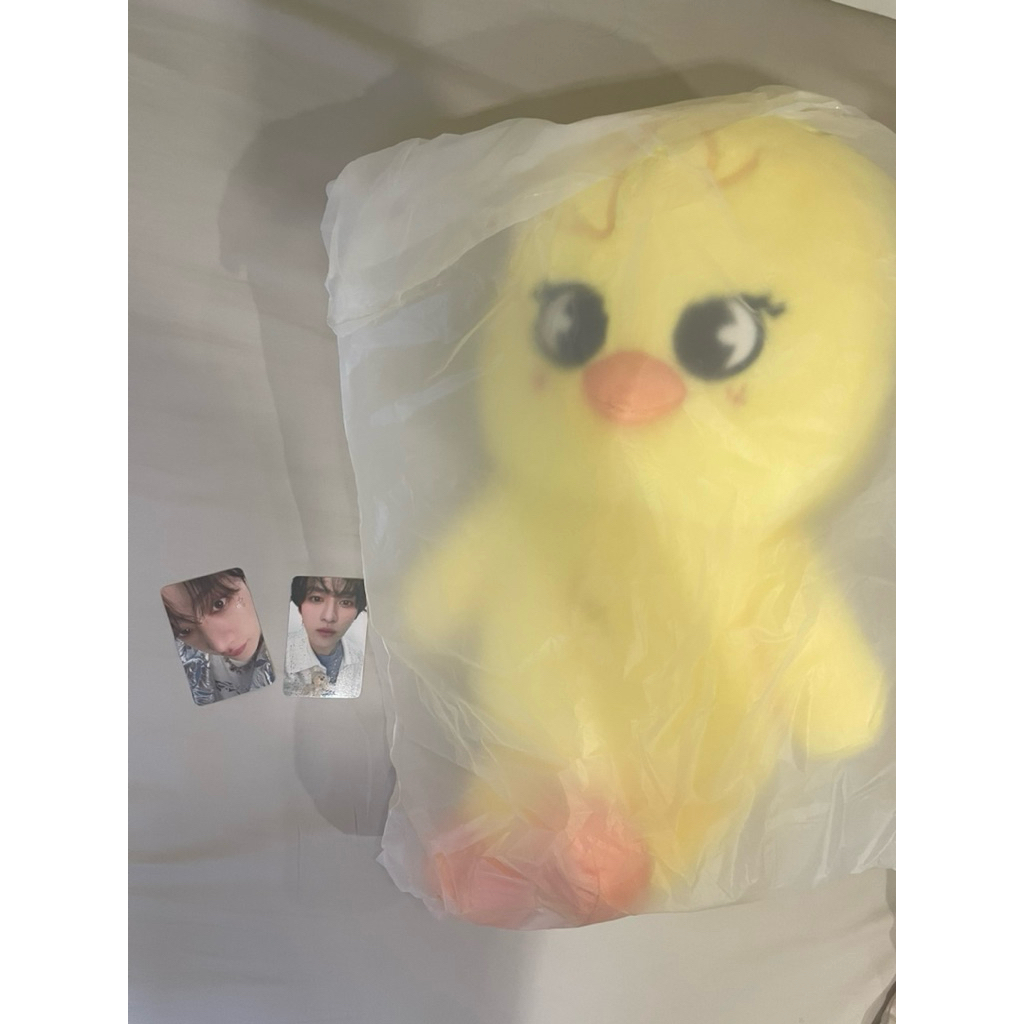 Skzoo plush teddy bear ver. Bbokari