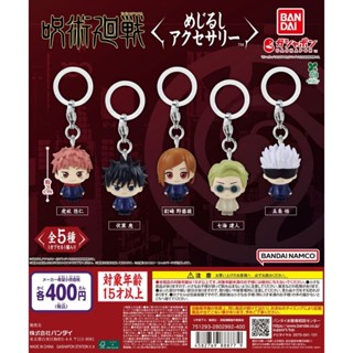 Jujutsu Kaisen Identifier Accessories