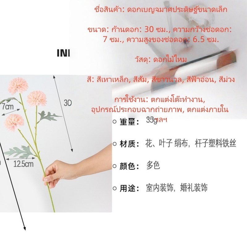 ดอกแดนดิไลออนเทียม ของแต่งบ้าน ตกแต่งห้อง ดอกไม้ประดิษฐ์ในแจกัน ดอกแดนดิไลออนเทียม ดอกไม้ประดิษฐ์ ดอกไม้สังเคราะห์ - รูปที่ 3