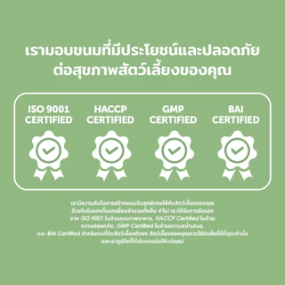 Dr. Shiba Chompies ขนมขัดฟันสุนัข จำนวน 5 ชิ้นต่อซอง ชิ้นละ 20 กรัม (รวมทั้งหมด 100 กรัม) เหมาะสำหรับสุนัข 9 เดือนขึ้นไป