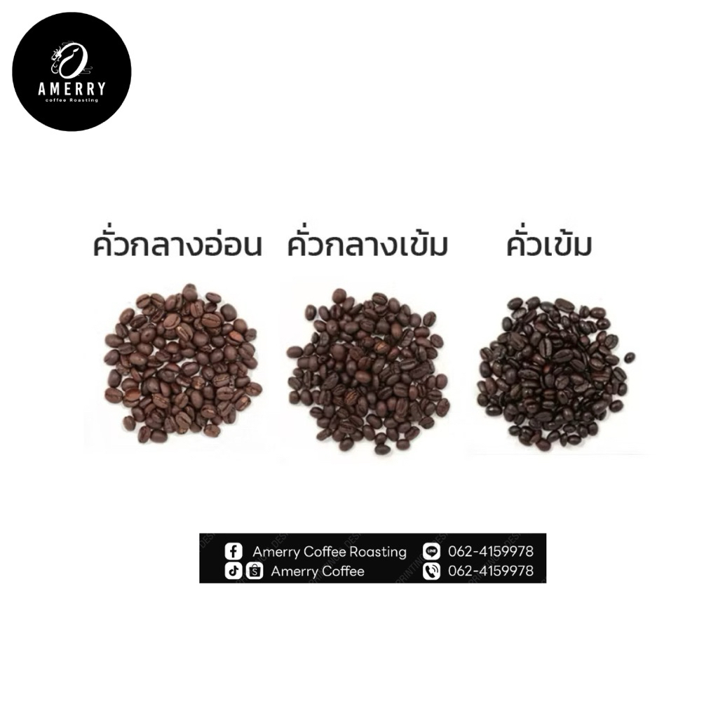 เมล็ดกาแฟดอยช้างArabica100%คั่วเข้ม(Dark Roas)250g./500g.บอดี้เเน่นรสชาติเข้ม ราคา ถูกที่สุด ดีลบีเคเค แกลเลอรีภาพที่ 3