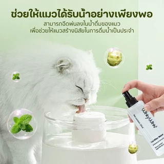 Petcho (WinkyWink) สเปรย์หญ้าแมว สำหรับแมว ส่วนผสมจากธรรมชาติ ลดความเครียดแมว เพิ่มการมีปฏิสัมพันธ์ เติมน้ำ