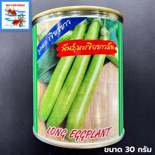 เมล็ดมะเขือยาวเขียว มะเขือยาวมัน เขียวยาว กระป๋อง ขนาด 30 กร…