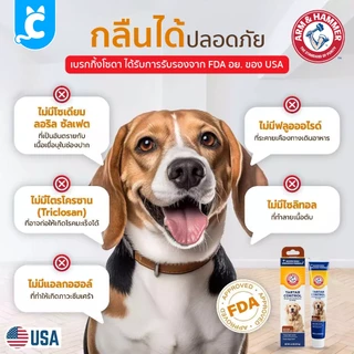 [ส่งฟรี🇹🇭] ARM & HAMMER ยาสีฟันสุนัข แมว รสเนื้อวัว สลายหินปูน ทําความสะอาดฟัน Dog Toothpaste CleverPet