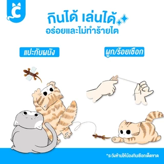 [ส่งฟรี🇹🇭] Fussy Boss ขนมแมว ขนมสุนัข Gecko ขนมไก่นิ่มรูปจิ้งจก 10 ชิ้น ฟัสซี่บอส CleverPet