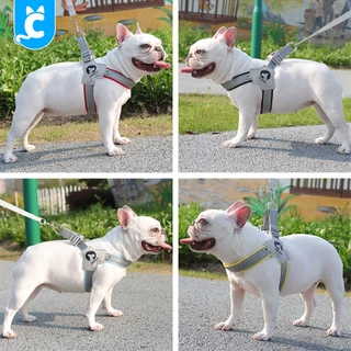 [ส่งฟรี🇹🇭] Duomm สายรัดอกสุนัข เสื้อรัดอกหมา ระบายความร้อน Dog Harness CleverPet