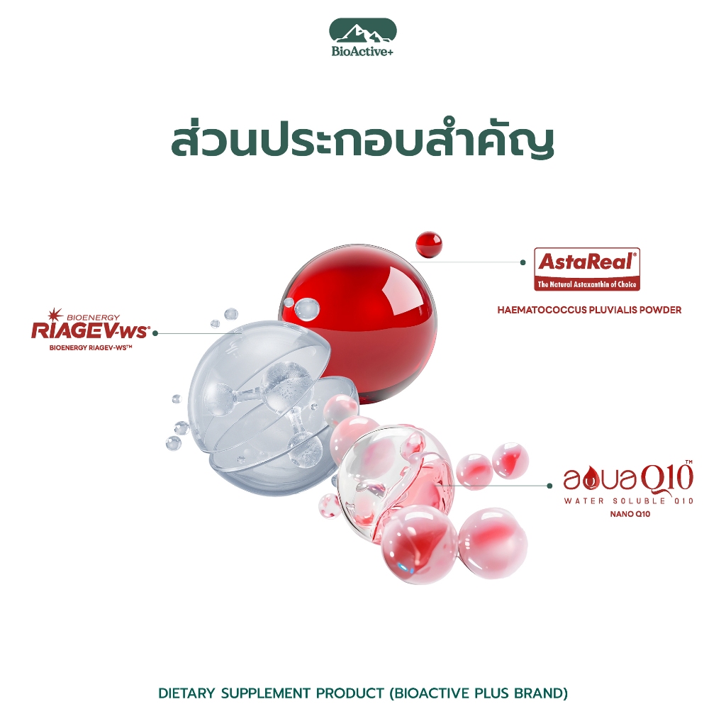 [โปร 2 กล่อง + ส่งฟรี] ไบโอแอคทีฟพลัส BioActive+ Concentrated Liquid Asta Drink แอสต้า 6 mg ผิวเด็ก ทนแดด 20 หลอด - รูปที่ 5