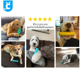 [ส่งฟรี🇹🇭] CleverPet กระดูกแปรงฟันสุนัข กระดูกขัดฟันหมา ลดกลิ่นปาก ของเล่นสุนัข Dog Dental Bone