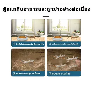 ยากำจัดจิ้งจกและตุ๊กแก 8 ชิ้น/กล่อง เหยื่อประสิทธิภาพสูง ฆ่าจิ้งจก ตุ๊กแก แมลง ได้ผลเร็ว ใช้งานง่าย