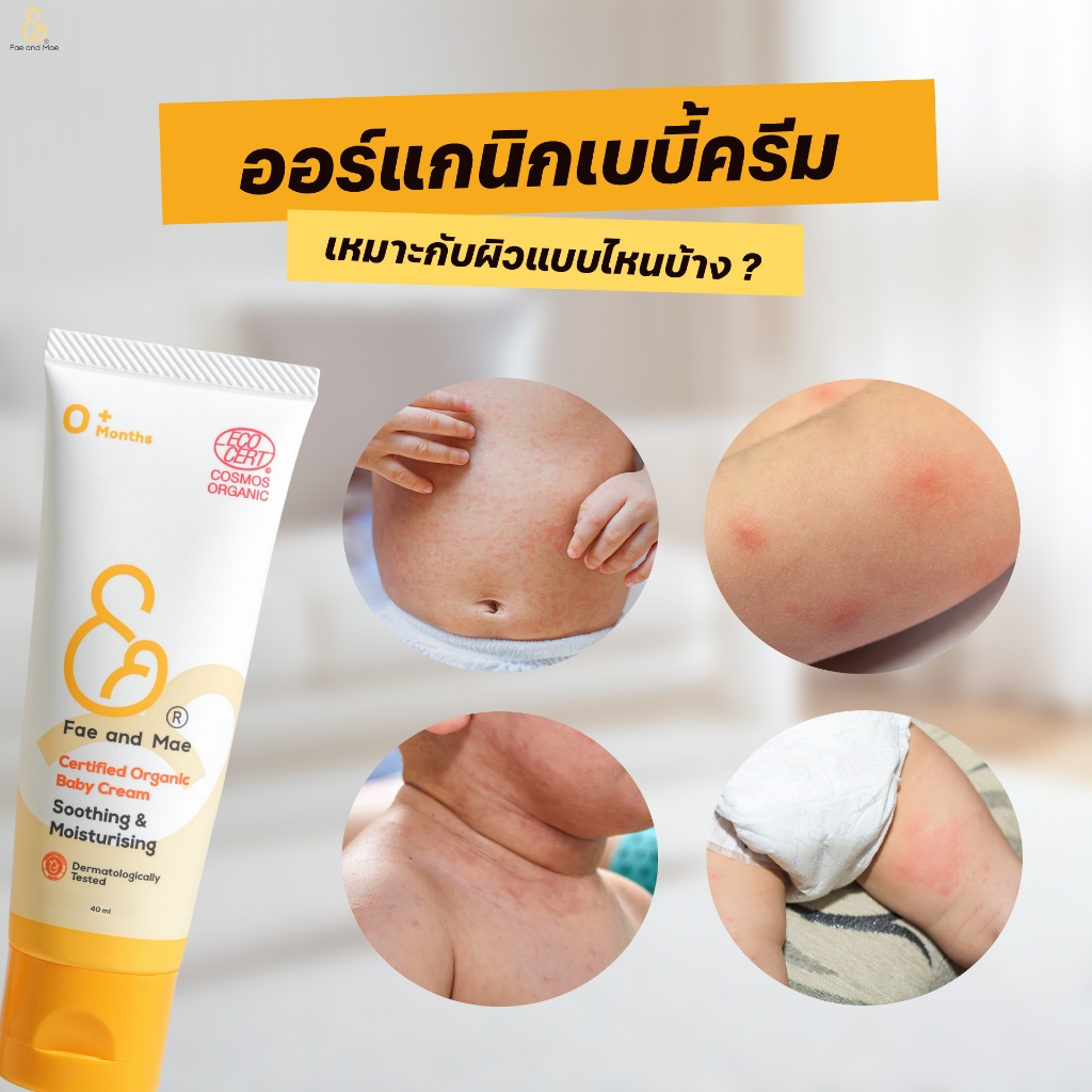 รูปภาพ 9