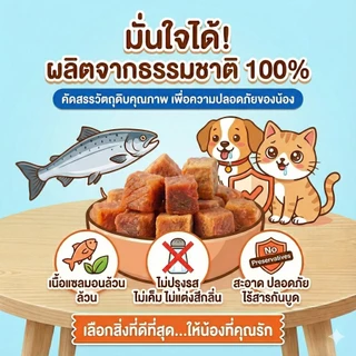 แซลมอนเต๋า อบแห้ง ขนมแมว ขนมสุนัข ขนมหมา กลิ่นหอม ไม่เค็ม ฝึกง่าย แก้เบื่ออาหาร กินแล้วหมาไม่ดื้อ ปลาอบแห้ง