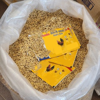 อาหารไก่ข้าวเปลือก ดอก ซี่ ซอล ขนาด 20 กรัม