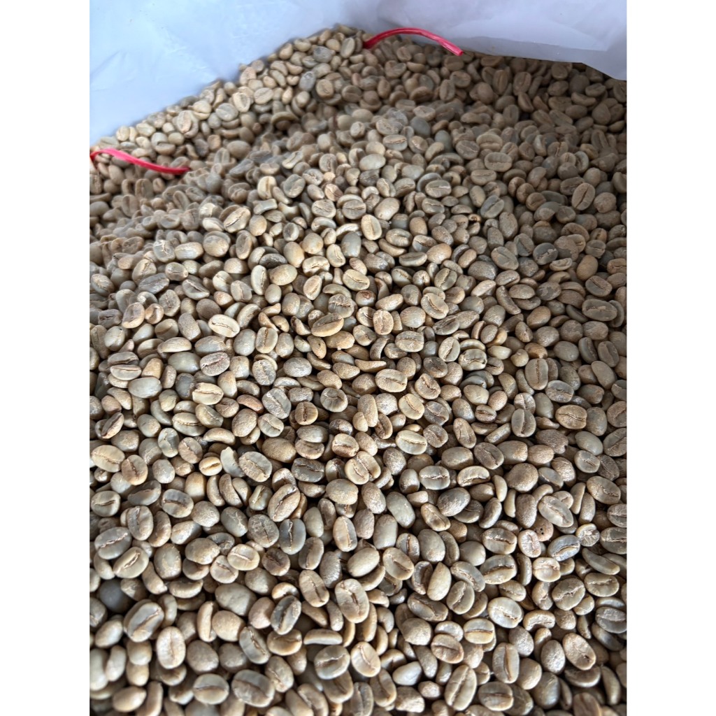 สารกาแฟดอยช้าง  ปี 67-68/Doichang Green Bean 67-68 คัดพิเศษ 4ขั้นตอน [Washed Process]