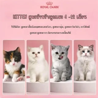 อาหารแมว แมวเด็ก Royal Canin Kitten รอยัลคานิล เหมาะสำหรับลูกแมว อายุ 4 - 12 เดือน ((แบบแบ่งขาย))