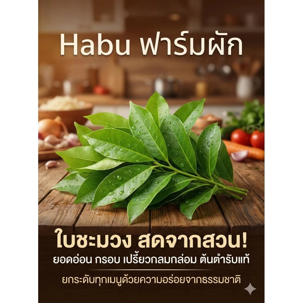 ใบชะมวง สด สะอาด รับประกันคุณภาพ 1 กก.