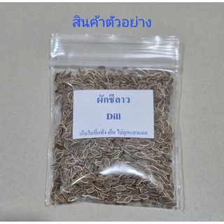 เมล็ดผักชีลาว 10 กรัม (5แถม1คละได้)