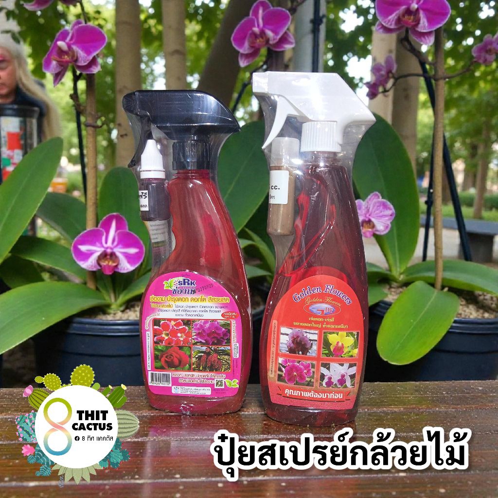 // สเปรย์ปุ๋ยกล้วยไม้ // golden flowers & ช่องาม// แบบน้ำ 500ml. เร่งดอก เร่งสี กล้วยไม้