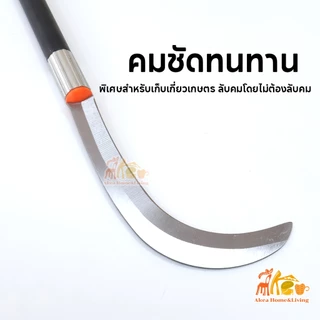 เคียวแมงกานีส เคียวเกี่ยวหญ้า เคียวอเนกประสงค์ เหล็กแมงกานีสหนา ด้ามจับกันลื่น เพิ่มหนาทนทาน ขัดเงาอย่างละเอียด