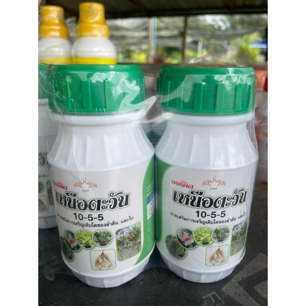 ออร์คิด สีเขียว ปุ๋ยน้ำ เร่งต้น เร่งใบ เร่งราก ทำให้ต้นสมบูรณ์ ใบใหญ่ ใบเขียวเงางาม