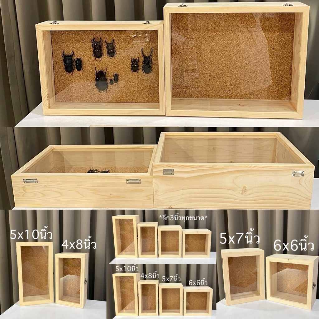 *สั่งทำภายใน7-14วัน หลายขนาด* กล่องเก็บแมลง ตู้เก็บแมลงแห้ง แมลงสตาฟ ตู้เก็บแมลงสตาฟ ตู้เก็บด้วง ตุ้โชว์แมลง ด้วง