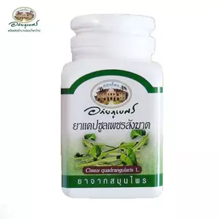 อภัยภูเบศร เพชรสังฆาต G 826/60