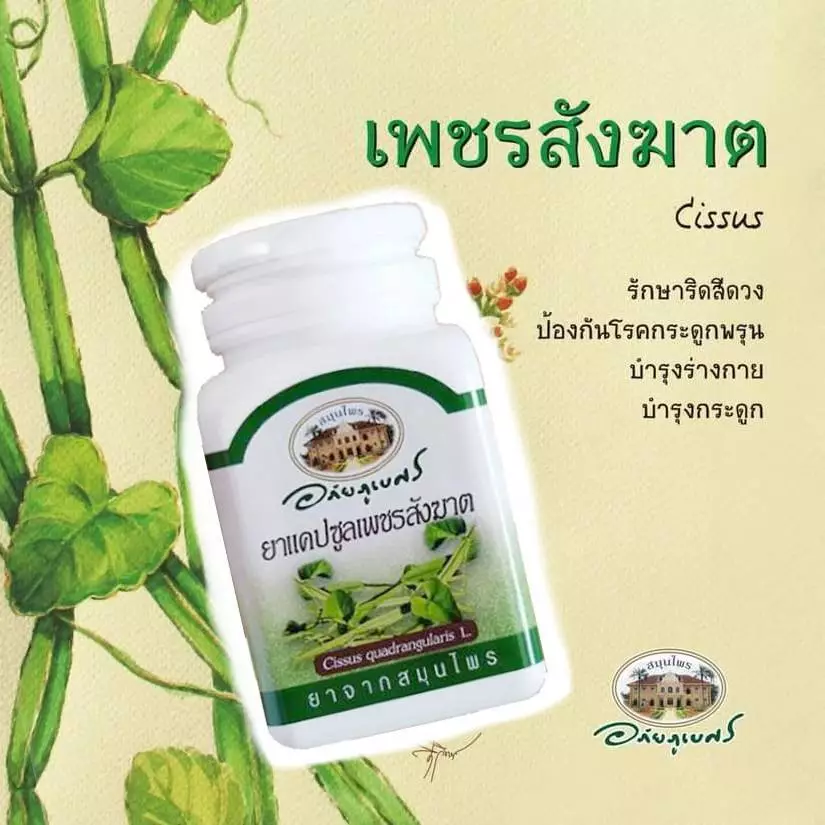 อภัยภูเบศร เพชรสังฆาต G 826/60