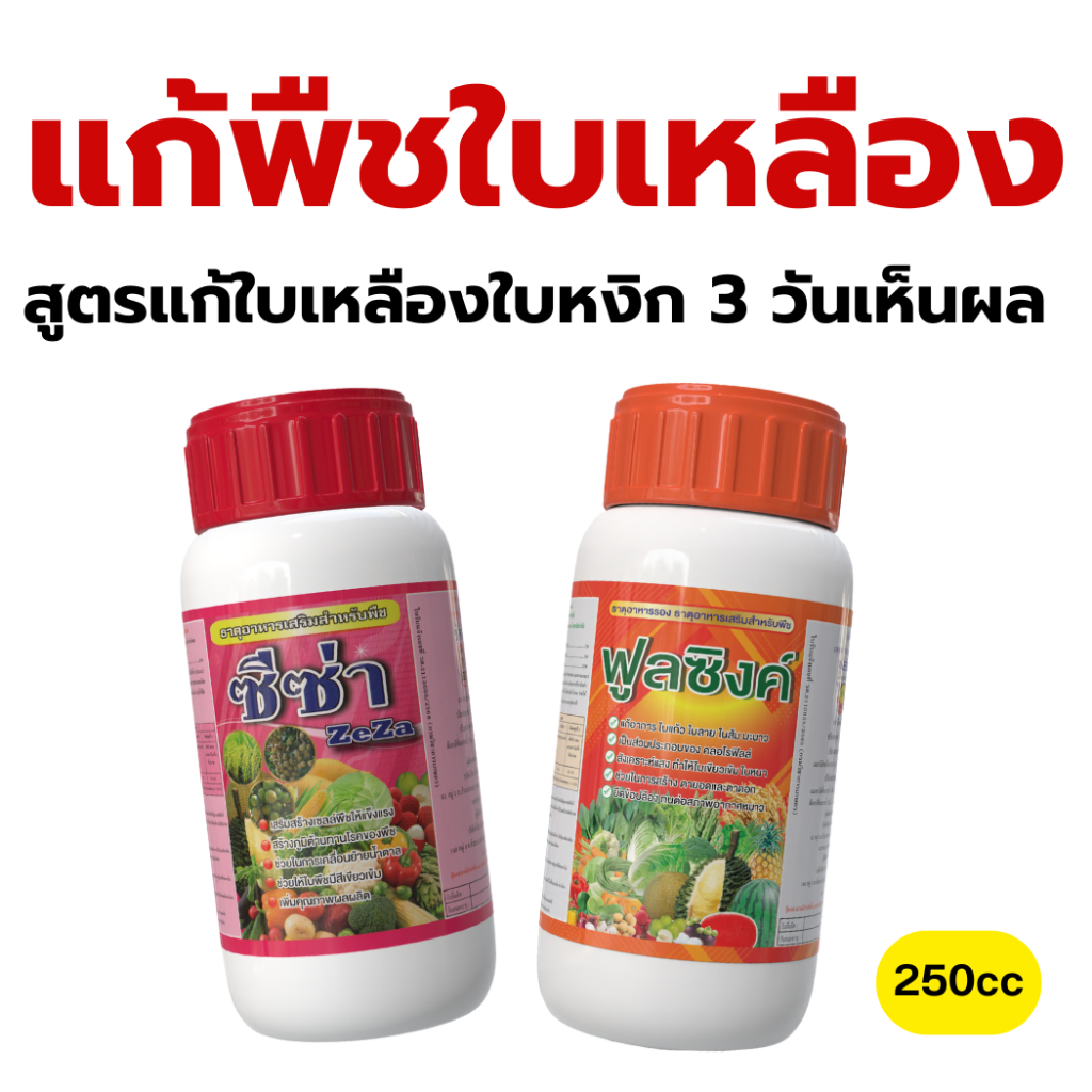 สูตรแก้ใบเหลืองในพืช ซีซ่า+ฟูลซิงค์เซตเร่งเขียวเร็ว แก้ใบหงิก ฟื้นใบ ฟื้นต้นโทรม แค่พ่นเซตเขียวเร็ว เห็นผลใน 3 วัน!