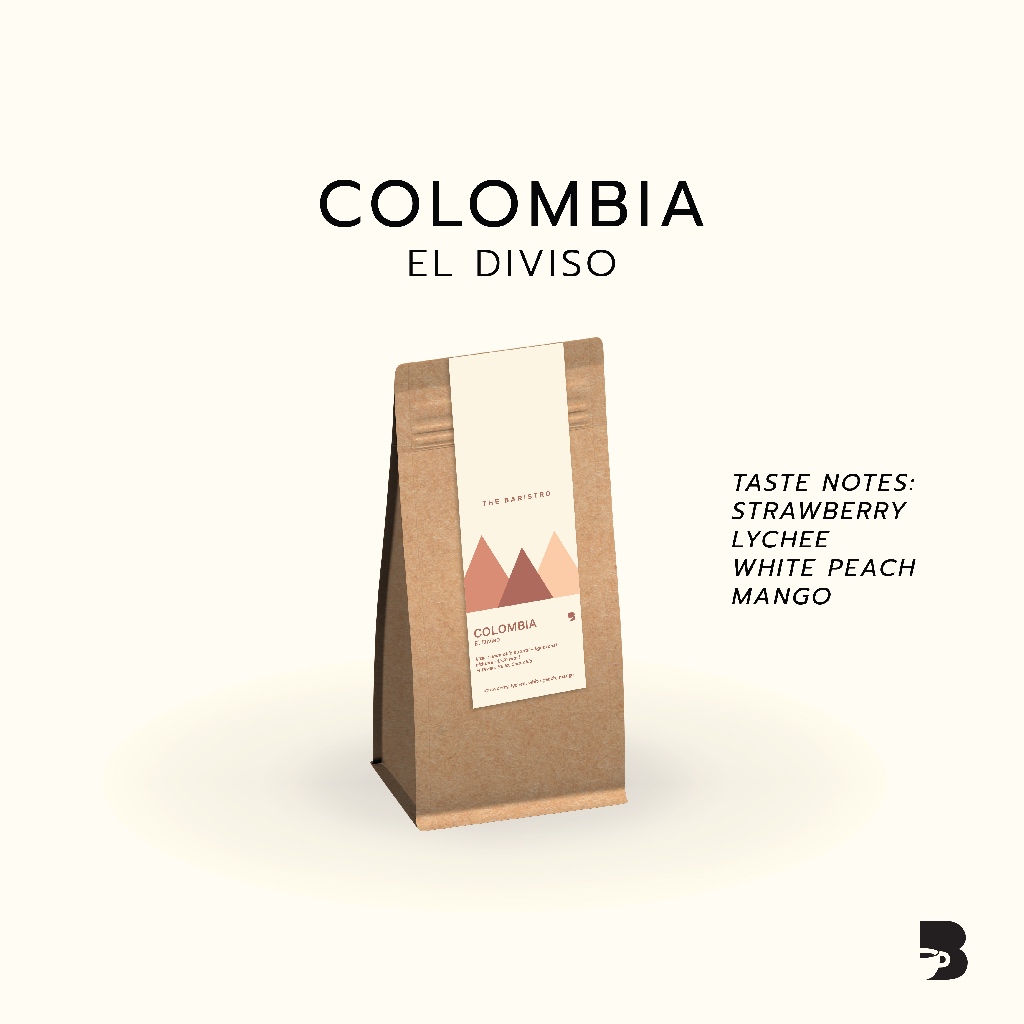 เมล็ดกาแฟ คั่วอ่อน - Colombia El Diviso Anaerobic