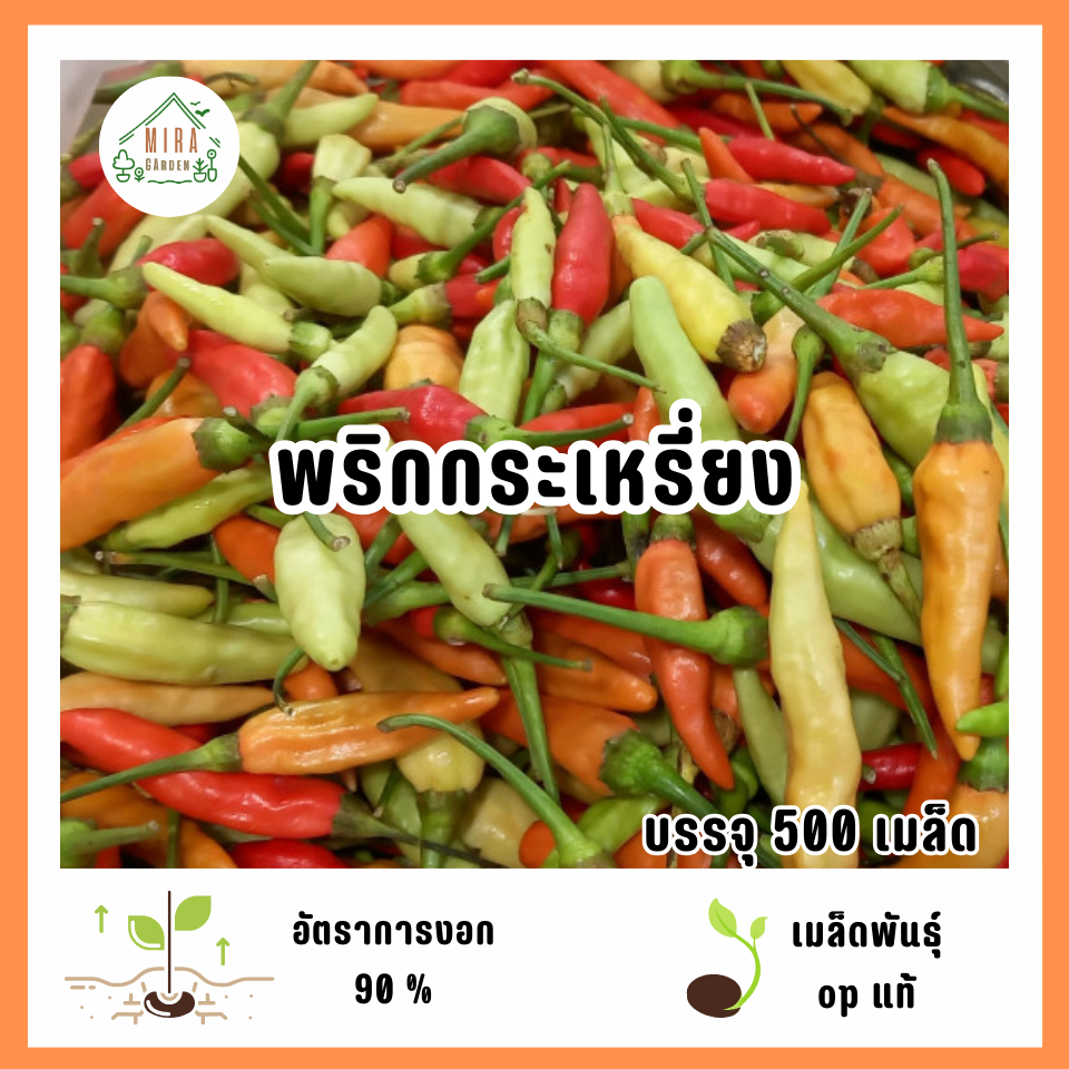 เมล็ดพันธุ์พริกกระเหรี่ยง 500 เมล็ด