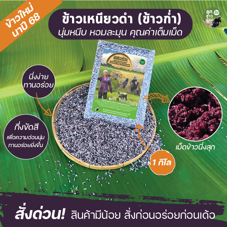 ข้าวเหนียวดำ (ข้าวก่ำ) ดั้งเดิม 💜 ปลอดสาร | หอม นุ่มนาน ทำขนมอร่อยที่สุดI 1 กิโล