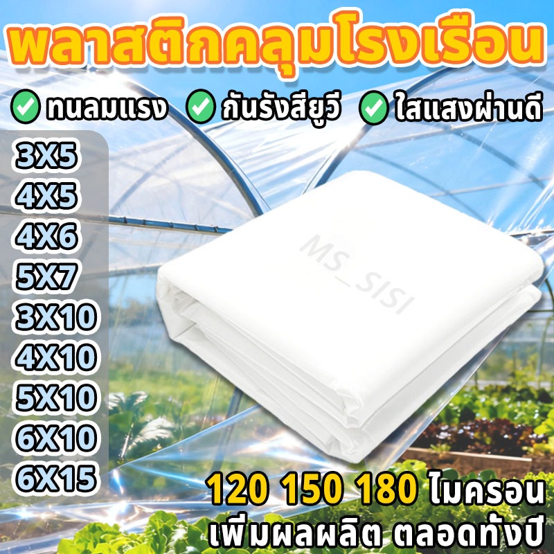 【ลดราคาพิเศษ 】แผ่นพลาสติกคลุมโรงเรือน กันUV กันความร้อน กันฝน กันแมลง หนา 120 150 180 ไมครอน
