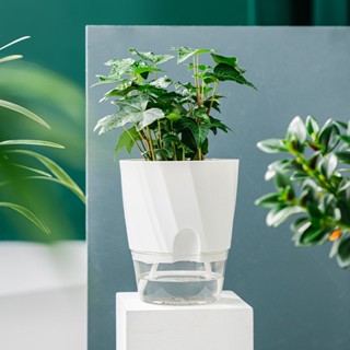 กระถางดอกไม้ กระถางต้นไม้ 2ชั้น​ และรดน้ำได้อัตโนมัติ ไม่ต้อ…