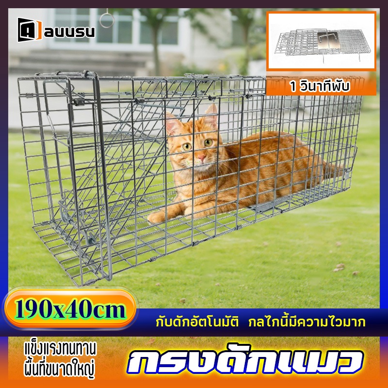 auusu กับดักแมว กรงดักแมว จับแมว กรงขังแมว กรงจับแม ความไวสูง ทนทาน สามารถพับได้ ขนาดใหญ จับสัตว์ป่า 1 วินาทีพับ