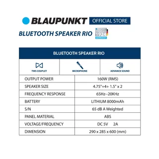 BLAUPUNKT ลำโพงบลูทูธปาร์ตี้พกพา กำลัง160W เบสหนัก ไฟ RGB แบตอึด 8000mAh รุ่น RIO
