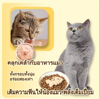 Plendy แถบแมว อาหารเปียกสำหรับแมว แพ็กคุ้มค่าสุด 50 แท่ง ขนมให้เลียหลายรส ดีต่อสุขภาพ