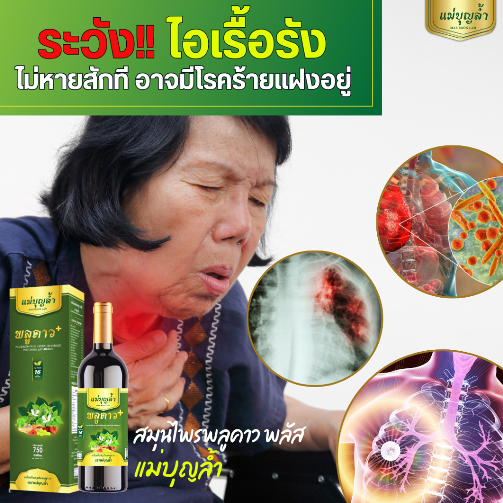 [1แถม1]  ของแท้ จากบริษัท พลูคาว แม่บุญล้ำ ฟื้นร่างกาย ปรับภูมิ - รูปที่ 4