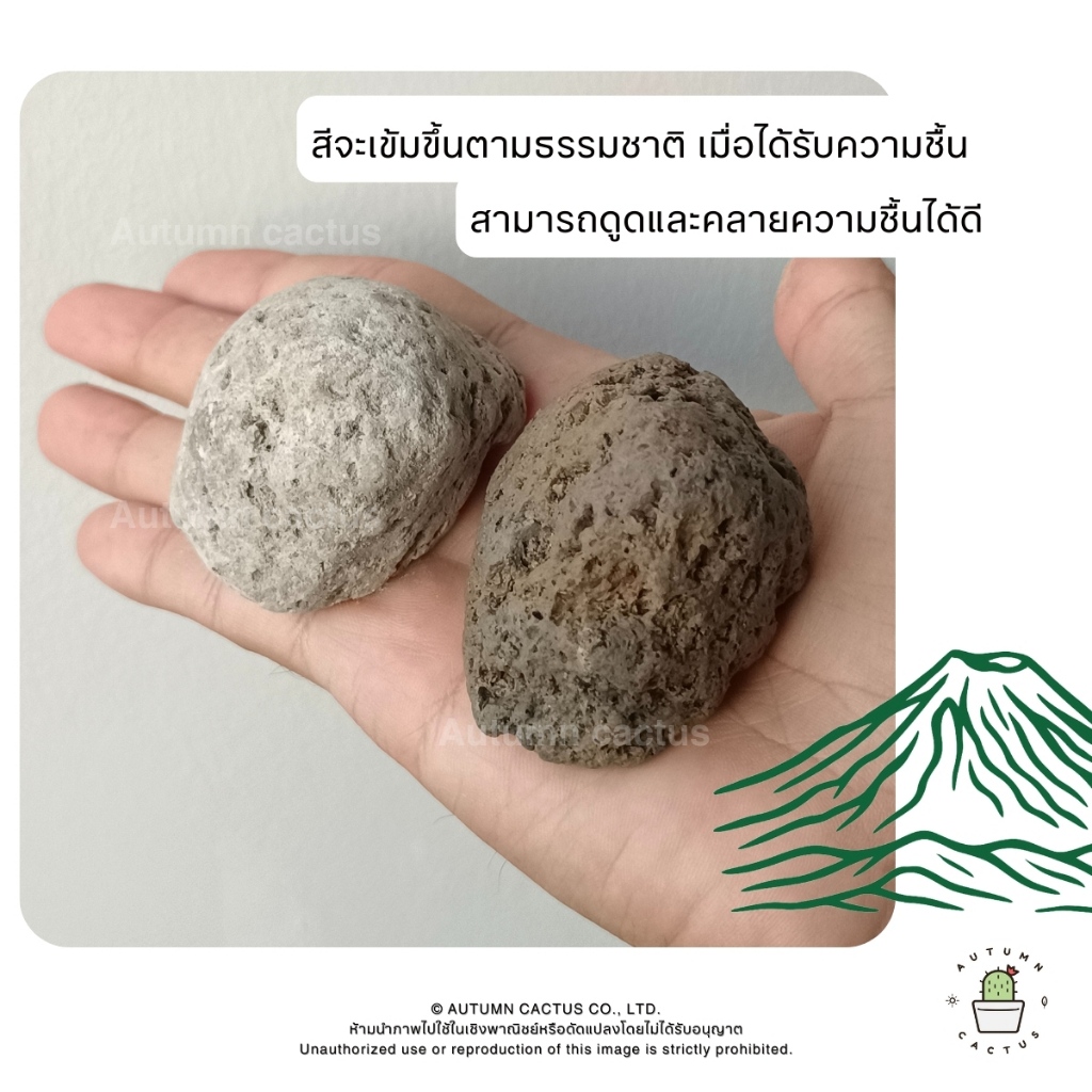 รูปภาพ 5